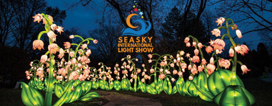 Wyndham Garden Niagara Falls Fallsview - Seasky International Light Show Package